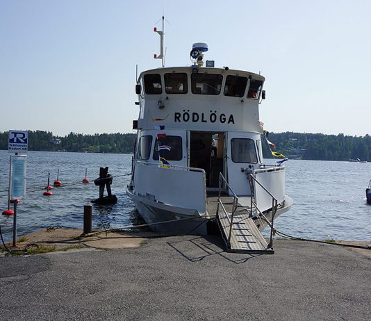 Rödlöga Rödlöga